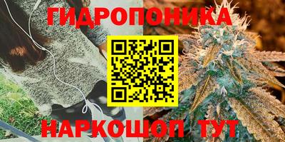 гидра Анжеро-Судженск