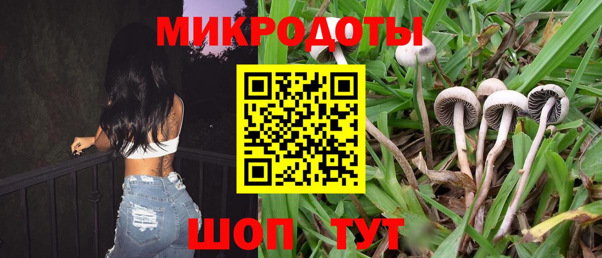 Галлюциногенные грибы Magic Shrooms  Псилоцибиновые грибы прущие грибы  Гулькевичи  купить закладку  Вход с VPN 