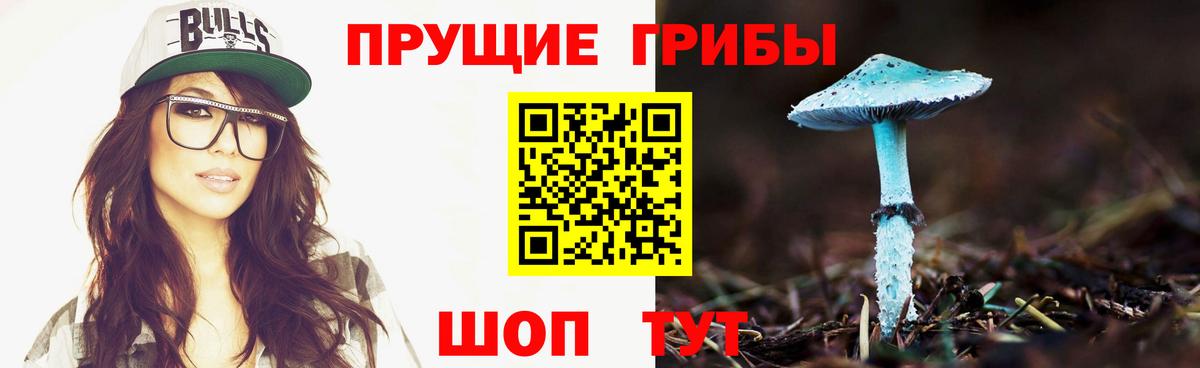 Галлюциногенные грибы прущие грибы Гулькевичи